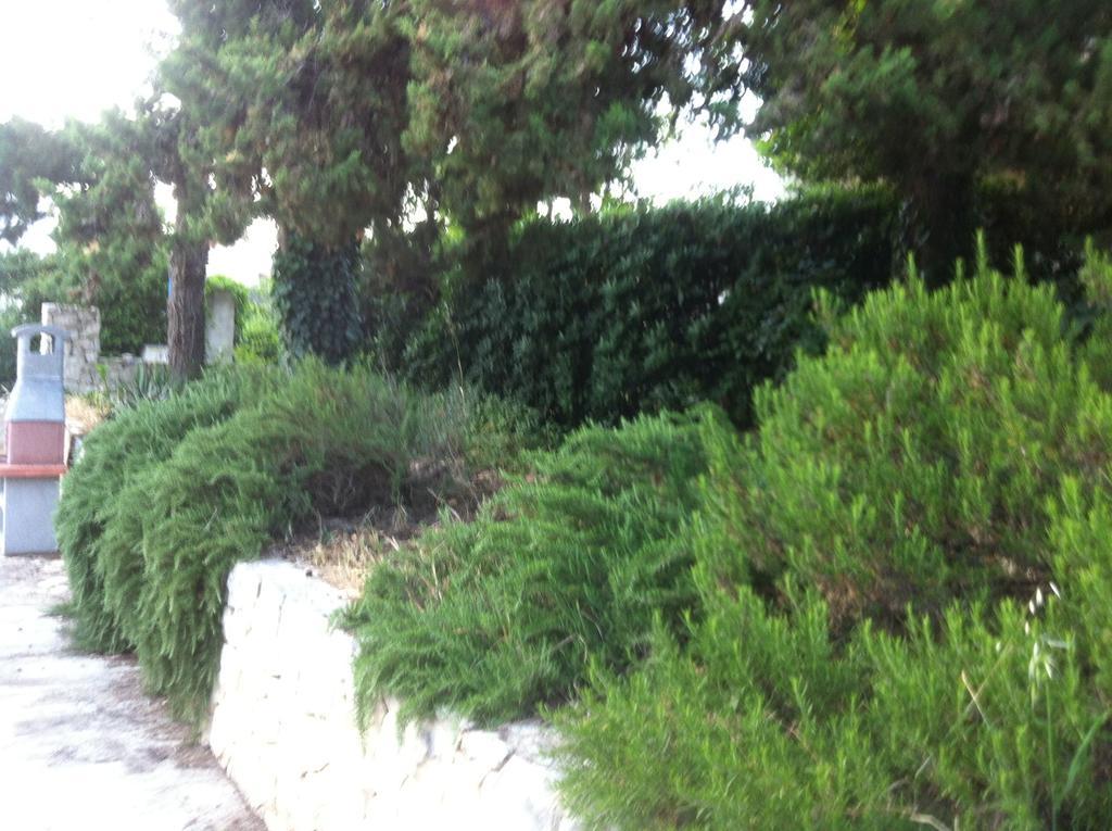 Apartments Casa Nostra Biograd Na Moru Dış mekan fotoğraf